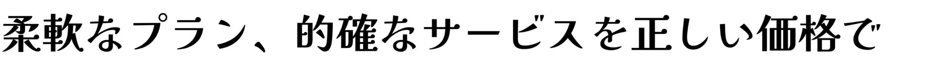 柔軟なプラン、的確なサービスを正しい価格で